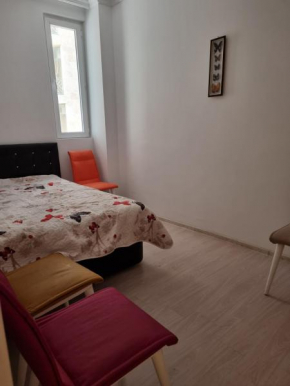 Gonio house 40